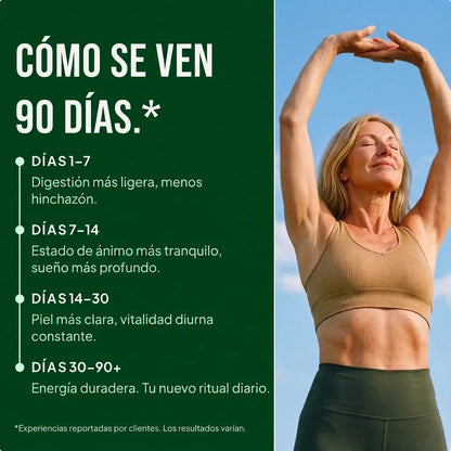 Amla Superfruta – Cápsulas
