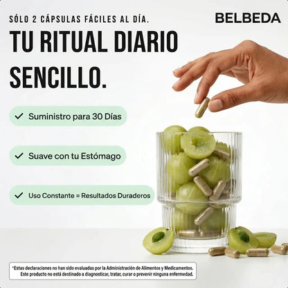 Amla Superfruta – Cápsulas